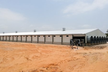 Maisons d'élevage de volailles à structure métallique